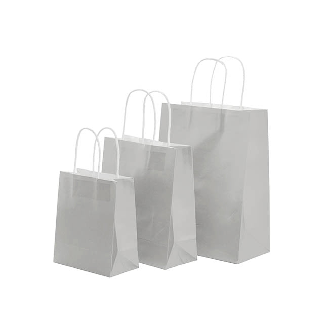 Kraft Paper Bag Shopper Small Silver Pk10 (180Wx85Gx215mmH)