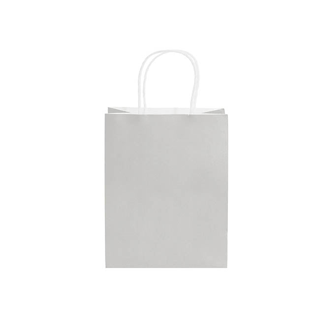 Kraft Paper Bag Shopper Medium Silver Pk10(205Wx110Gx275mmH)