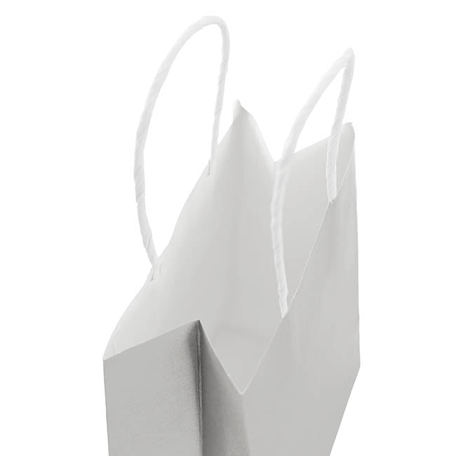 Kraft Paper Bag Shopper Medium Silver Pk10(205Wx110Gx275mmH)