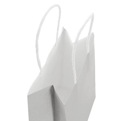Kraft Paper Bag Shopper Medium Silver Pk10(205Wx110Gx275mmH)