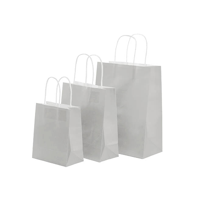 Kraft Paper Bag Shopper Medium Silver Pk10(205Wx110Gx275mmH)