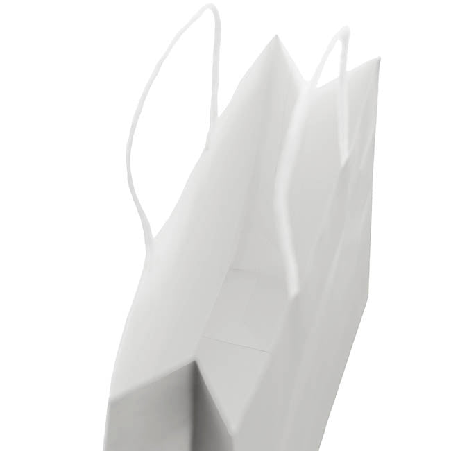 Kraft Paper Bag Boutique Medium Silver Pk10(220Wx80Gx180mmH)