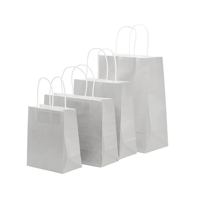 Kraft Paper Bag Boutique Medium Silver Pk10(220Wx80Gx180mmH)