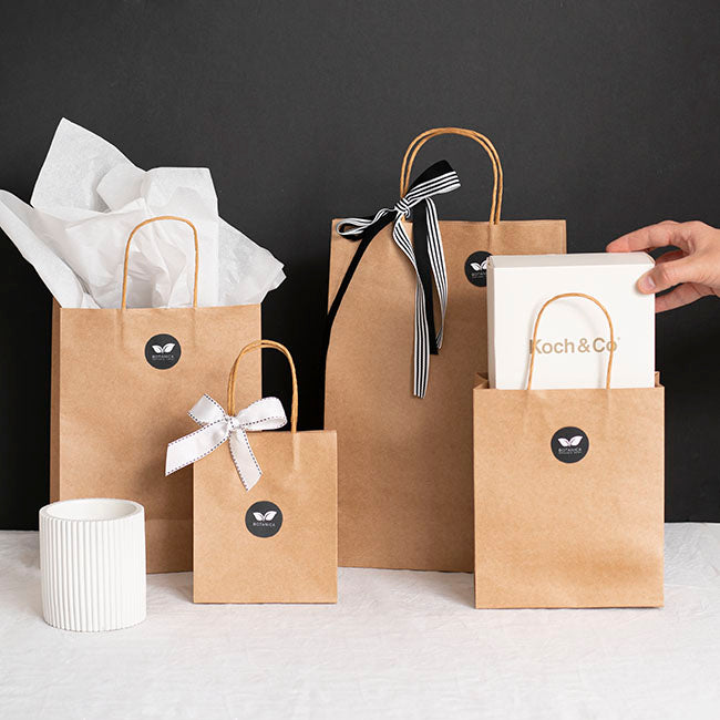 Kraft Paper Bag Shopper Medium Brown Pk10 (205Wx110Gx275mmH)
