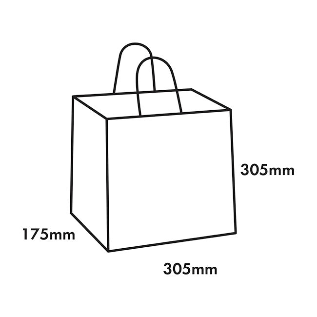 Kraft Paper Bag Takeaway Med Brown Pk10 (305Wx175Gx305mmH)
