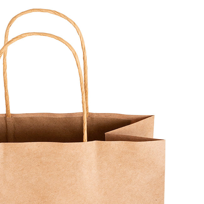 Kraft Paper Bag Shopper Jumbo Brown Pk10 (380Wx120Gx460mmH)