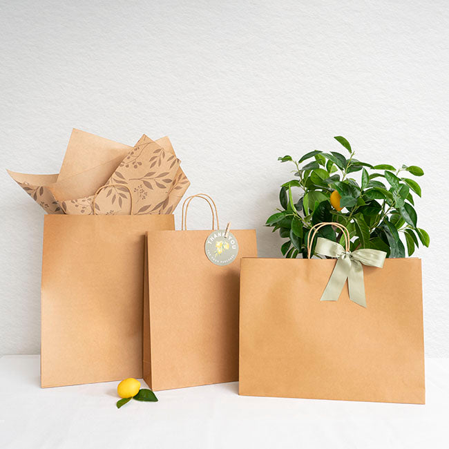 Kraft Paper Bag Boutique Jumbo Brown Pk10 (450Wx100Gx350mmH)