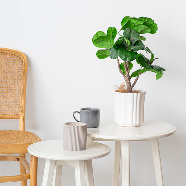 Ceramic Florence Vase Matte White (15Dx15cmH)