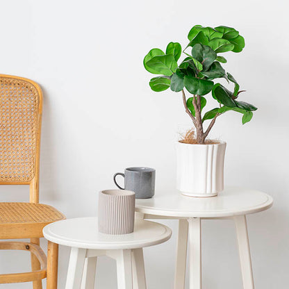 Ceramic Florence Vase Matte White (15Dx15cmH)