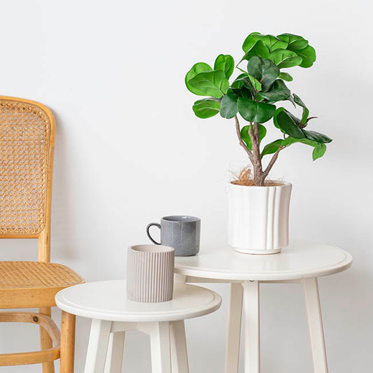 Ceramic Florence Vase Matte White (15Dx15cmH)