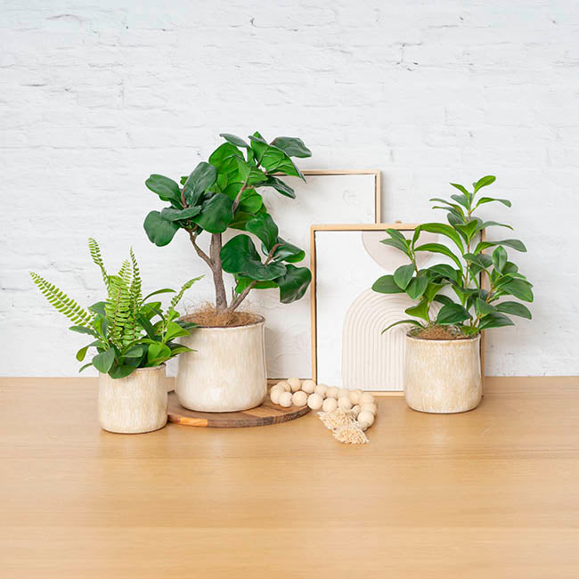 Ceramic Remy Beige Pot (12.5Dx12cmH)