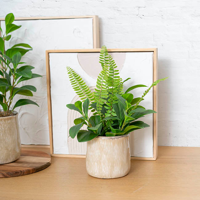 Ceramic Remy Beige Pot (12.5Dx12cmH)