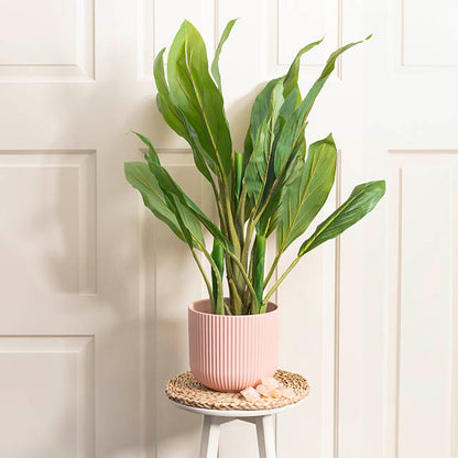 Ceramic Cyprus Vase Matte Blush Pink (22.5DX20cmH)