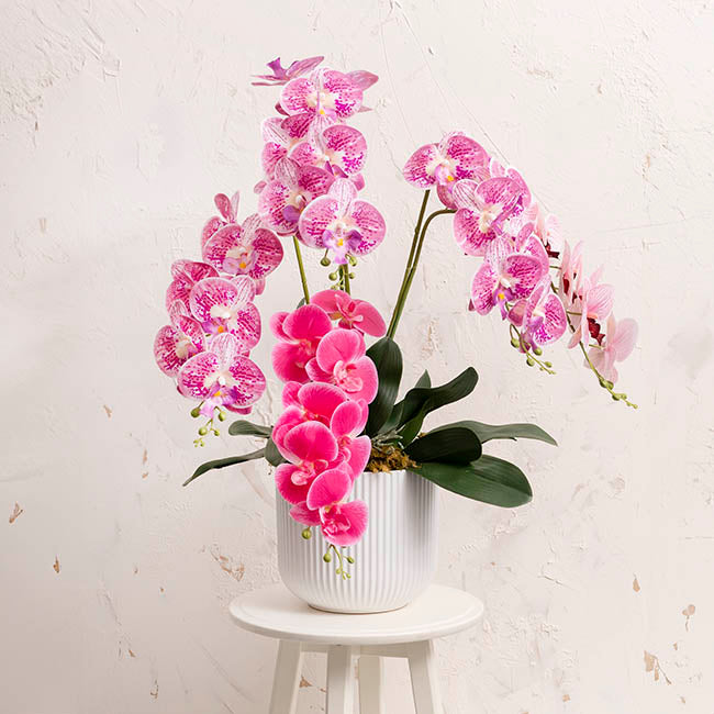Ceramic Cyprus Vase Matte White (22.5DX20cmH)