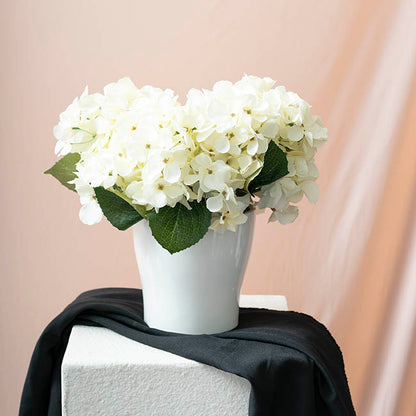 Ceramic Bondi Bravo Concial Pot White (16Dx16cmH)