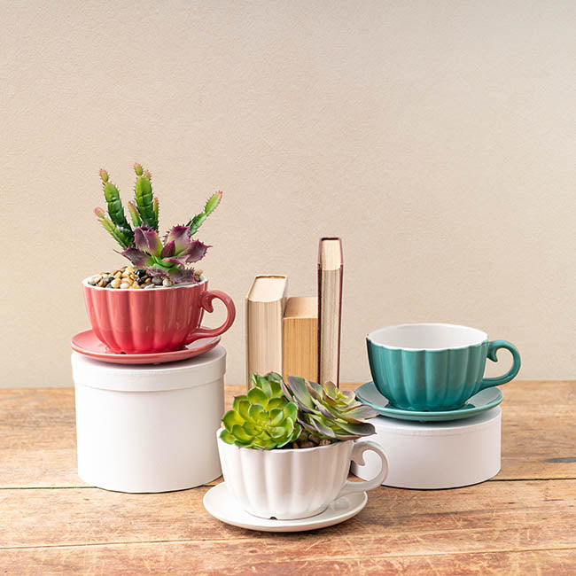 Ceramic Tea Cup Pot Saucer Drainage Hole White (15TDx10cmH)