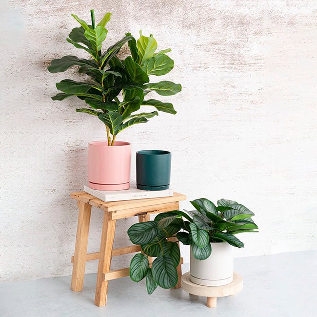 Ceramic Loreto Plant Pot & Plate White Set 2 (18Dx18.5cmH)