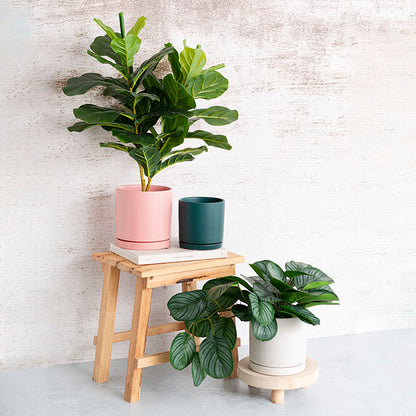 Ceramic Loreto Plant Pot & Plate White Set 2 (18Dx18.5cmH)