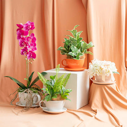 Ceramic Cappuccino Pot & Plate Gloss White (17Dx12cmH)