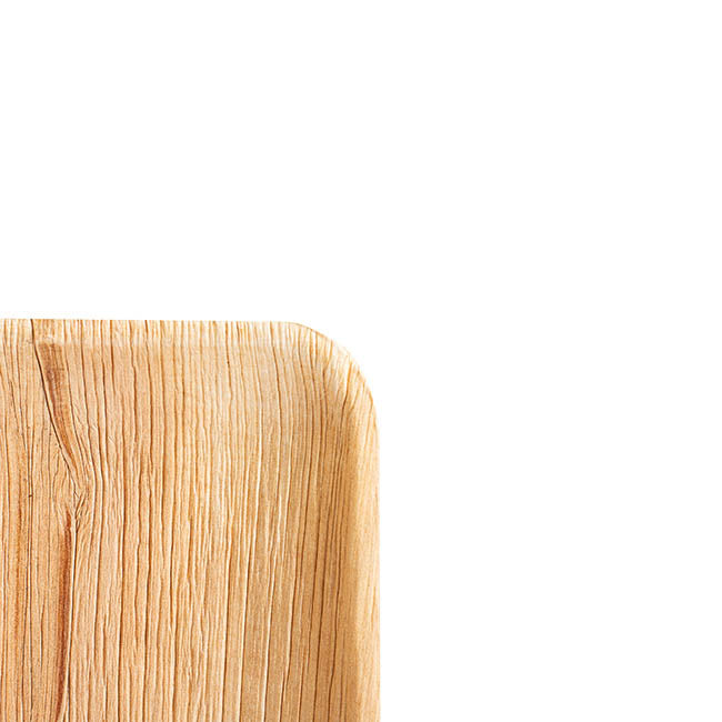 Palm Leaf Square Plate (25cm) Pack 10