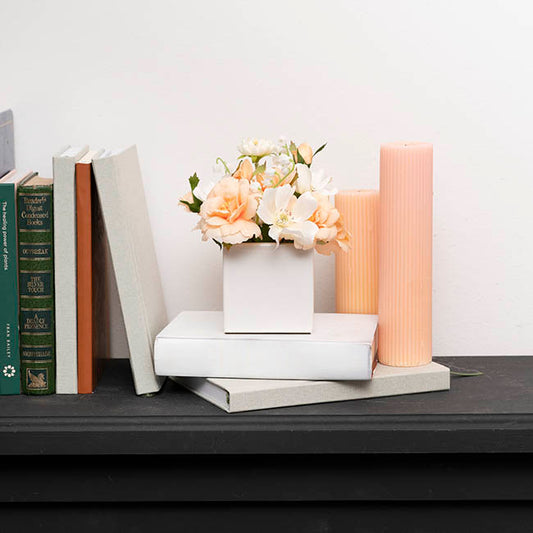 Ceramic Bondi Cube Succulents White (8x8x8cmH)