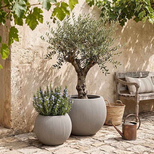 Alto Elements Large Ribbed Bowl Pot Set2 Mediterranean Beige