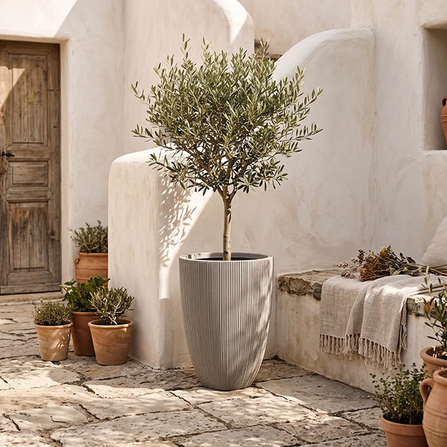 Alto Elements Large Ribbed Tall Pot Medit Beige (44Dx58cmH)