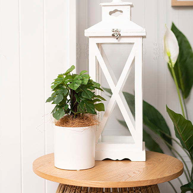 Ceramic Cylinder Pot Satin w/ Drainage Hole White 12x12cmH