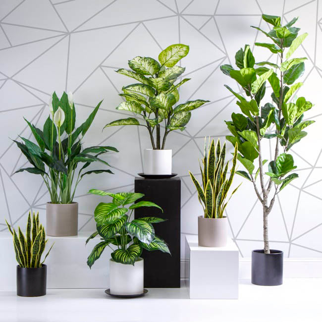 Ceramic Cylinder Dan Plant Pot Matte White (18x18cmH)