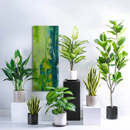 Ceramic Cylinder Dan Plant Pot Matte Black (21x21cmH)