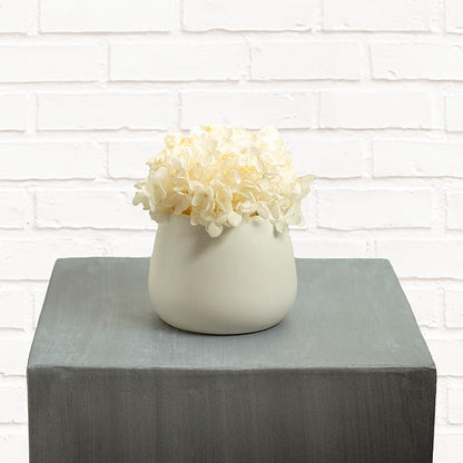 Ceramic Taron Belly Pot Matte White (13x10cmH)