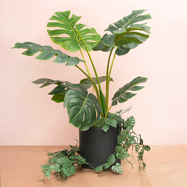 Ceramic Cylinder Dan Plant Pot Matte Black (20x20cmH)