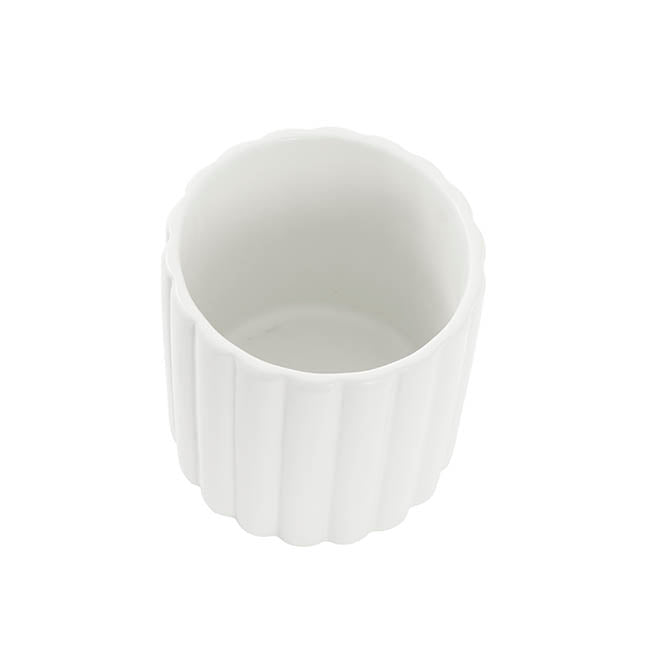 Ceramic Cylinder Lily Pot Matte White (12Dx12cmH)