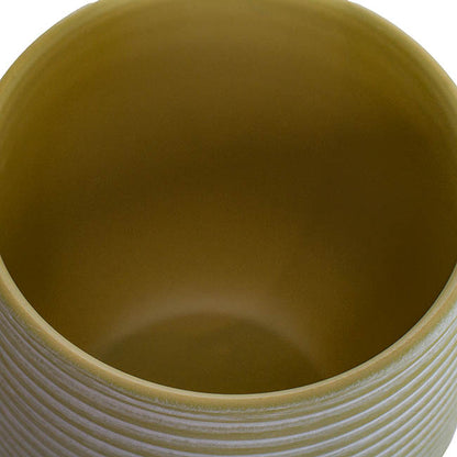 Ceramic Belly Ribbed Rnd Pot Asparagus Green (15.5x15.5cmH)