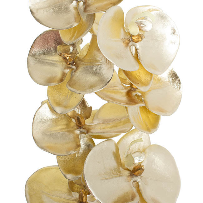 Phalaenopsis Orchid 9 Flowers Metallic Champagne Gold(75cmH)