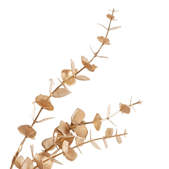 Eucalyptus Short Stem Spray Metallic Gold (35cmH)