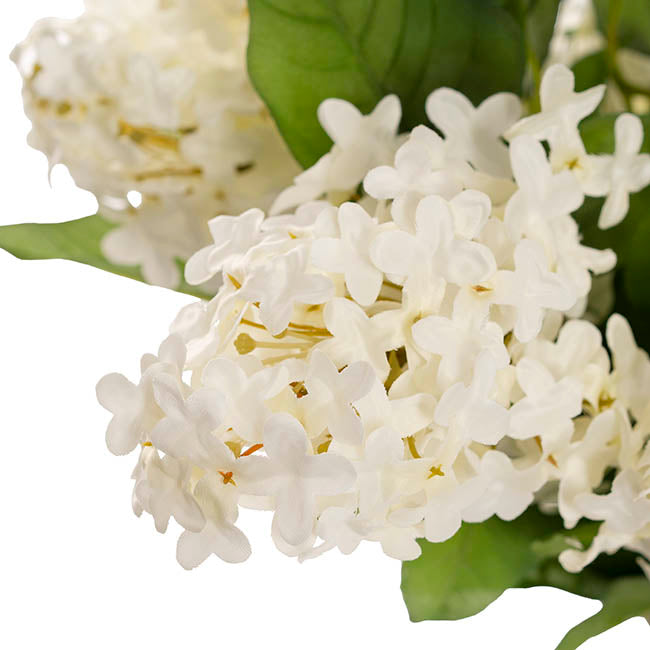 Sophia Flower Arrangement w Resin Water White (30x44cmH)
