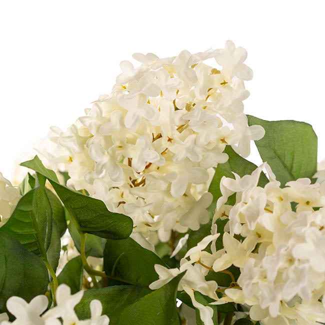 Sophia Flower Arrangement w Resin Water White (30x44cmH)
