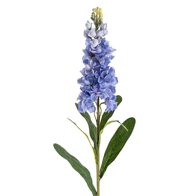 Stock Flower Stem French Blue (80cmH)