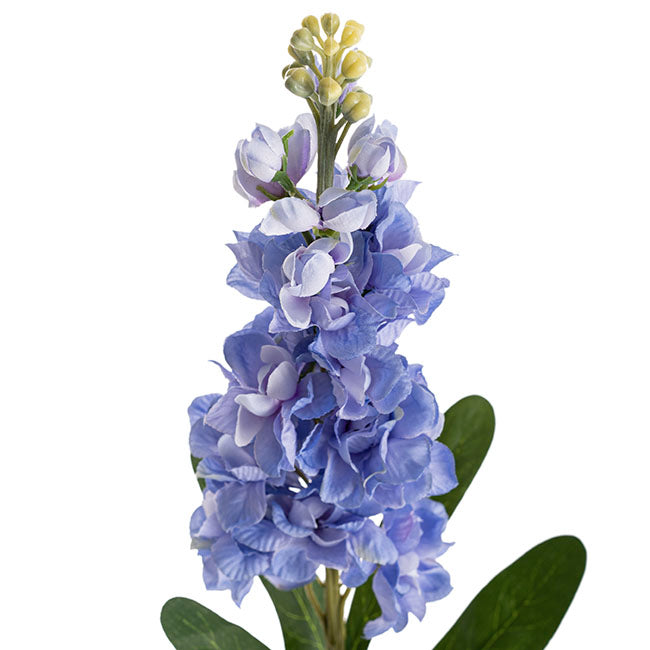Stock Flower Stem French Blue (80cmH)