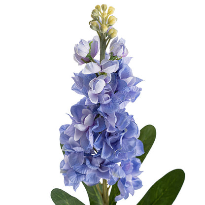 Stock Flower Stem French Blue (80cmH)