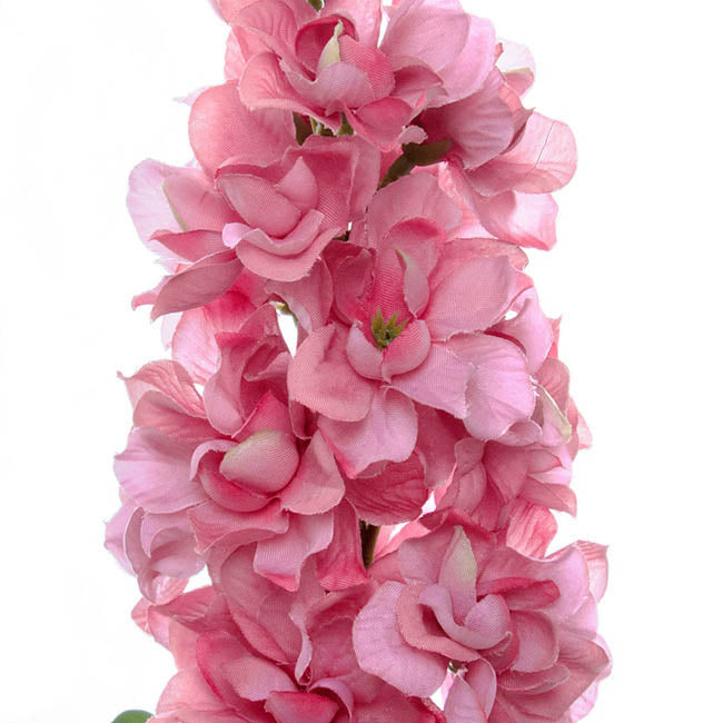 Stock Flower Stem Pink (80cmH)