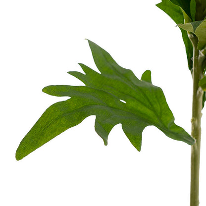Delphinium Stem Soft Green (108cmH)
