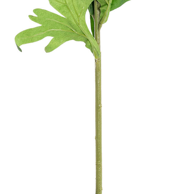 Delphinium Stem White (108cmH)