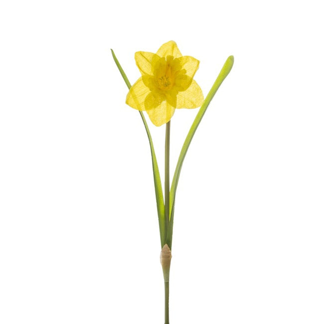 Daffodil Flower Stem Yellow (8.5cmDx36cmH)