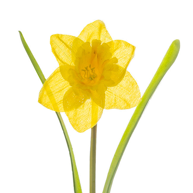 Daffodil Flower Stem Yellow (8.5cmDx36cmH)