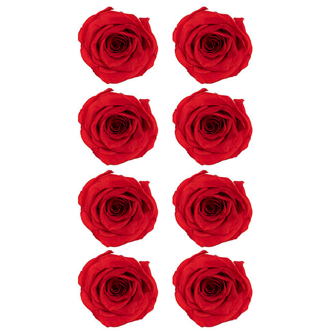 Amore Forever Preserved Rose Heads 8 PCS Dark Red (4-5cmD)