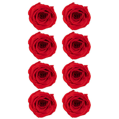 Amore Forever Preserved Rose Heads 8 PCS Dark Red (4-5cmD)
