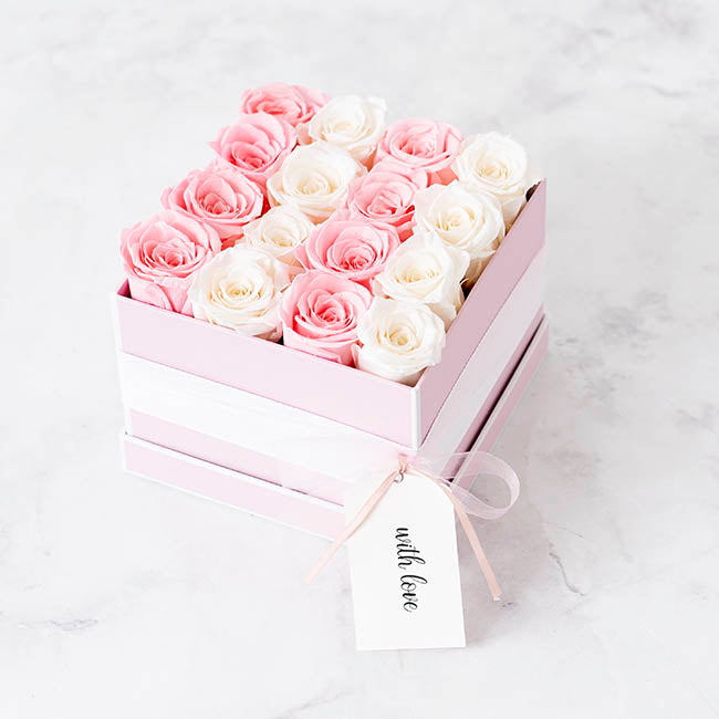Amore Forever Preserved Rose Heads 8 PCS White (4-5cmD)