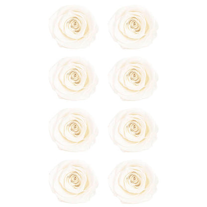 Amore Forever Preserved Rose Heads 8 PCS White (4-5cmD)